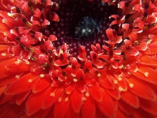 C360_2011-07-25 15-04-04_org