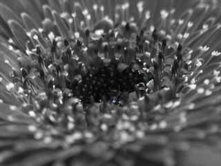 C360_2011-07-25 15-05-59
