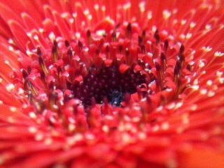 C360_2011-07-25 15-05-59_org