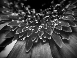 C360_2011-07-25 15-09-37