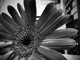 C360_2011-07-25 15-10-01