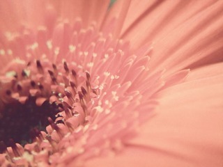 C360_2011-07-25 15-14-02