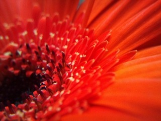 C360_2011-07-25 15-14-02_org
