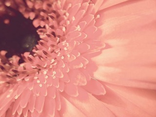 C360_2011-07-25 15-24-44