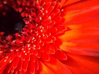 C360_2011-07-25 15-24-44_org