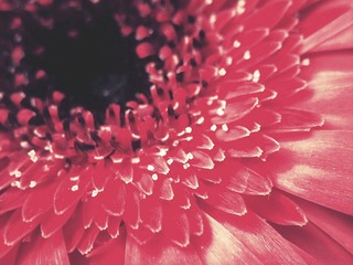 C360_2011-07-25 15-25-20