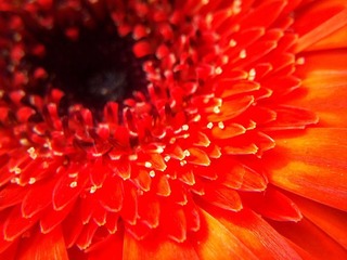 C360_2011-07-25 15-25-20_org