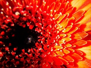 C360_2011-07-25 15-27-50