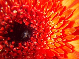 C360_2011-07-25 15-27-50_org