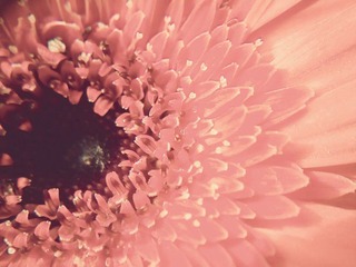 C360_2011-07-25 15-29-03