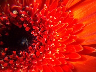 C360_2011-07-25 15-29-03_org