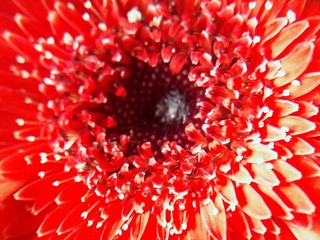 C360_2011-07-25 15-29-30