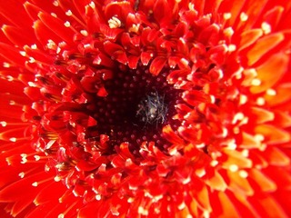 C360_2011-07-25 15-30-06_org