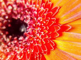 C360_2011-07-25 15-31-55