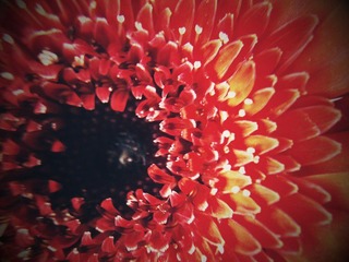 C360_2011-07-25 15-33-01