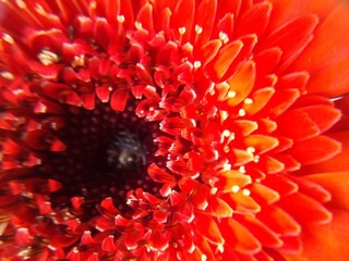 C360_2011-07-25 15-33-01_org