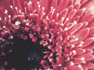 C360_2011-07-25 15-34-31