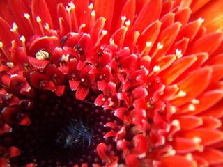 C360_2011-07-25 15-34-31_org