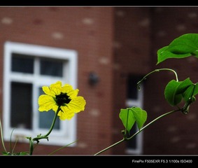 DSCF1599.jpg