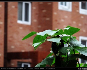 DSCF1656.jpg