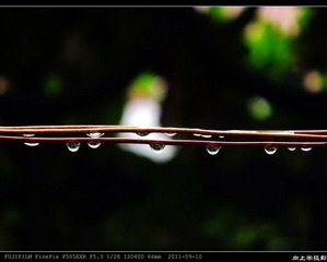 DSCF1667.jpg