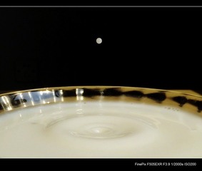 S0051870.jpg