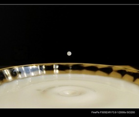 S0031829.jpg