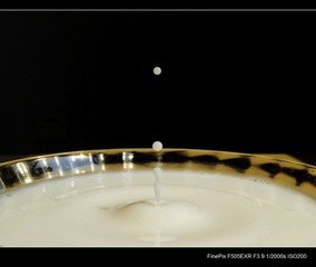 S0051864.jpg