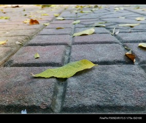 DSCF3064.jpg