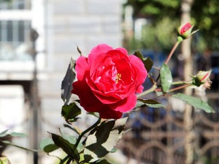 DSCF3071.jpg