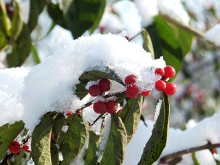 DSCF3714.jpg