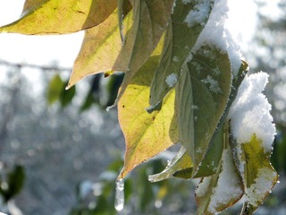 DSCF3722.jpg