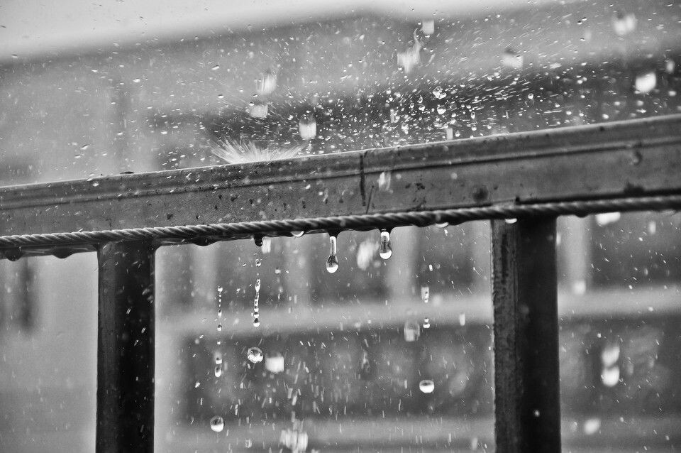 雨中<br />
