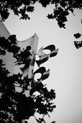 DSC05987.jpg
