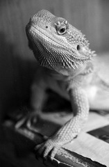 DSC06350 副本.jpg