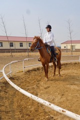 DSC00037.jpg