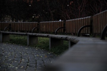 DSC_6835.JPG