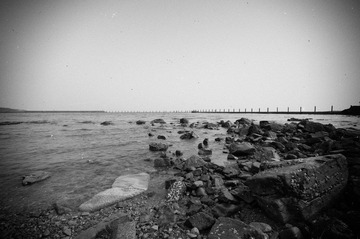 _DSC9375.jpg