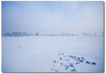 _DSC6796.jpg