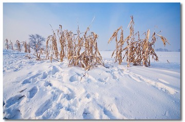 _DSC6841.jpg