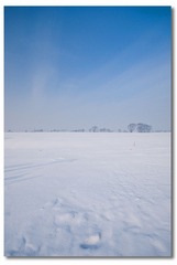 _DSC6844.jpg