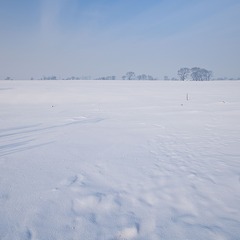 _DSC68444.jpg