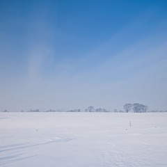 _DSC6844.jpg