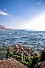 IMGP2217.jpg