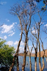 IMGP2232.jpg