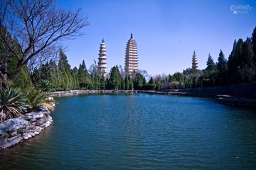 IMGP2328.jpg