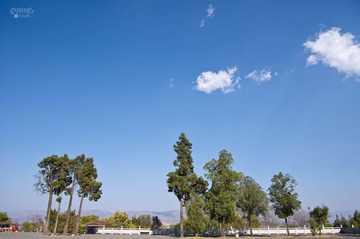 IMGP2396.jpg