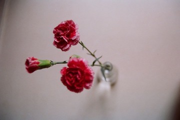 Kodak Gold 100