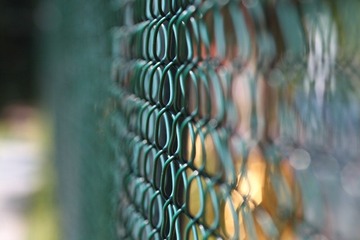 IMG_00421.JPG