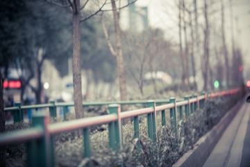 20120229-IMG_4855.jpg